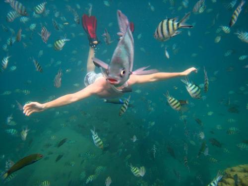 snorkeler-underwater-thailand_29425_990x742